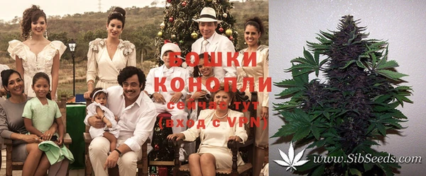 каннабис Лабытнанги
