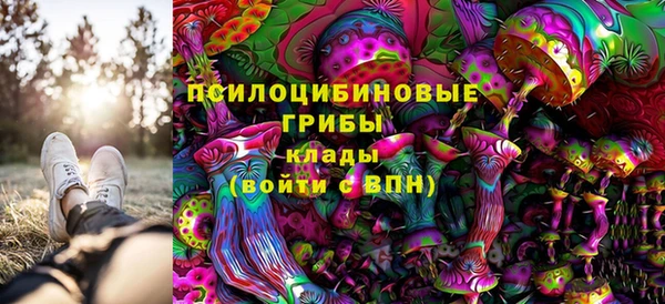 каннабис Лабытнанги