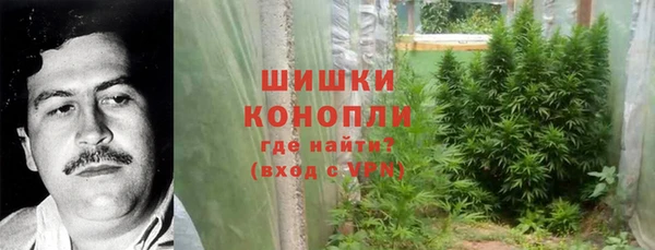 бутират Лагань