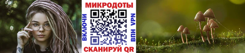 Псилоцибиновые грибы мицелий  Купить где  Старый Крым 